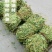 鸡骨草带叶