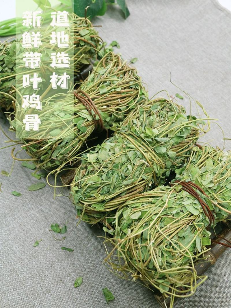鸡骨草带叶
