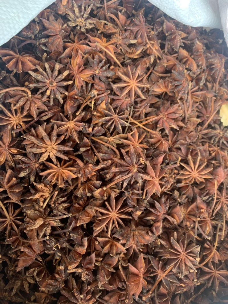 广西大红八角春花八角干枝八角黑八角各种货源应有尽有