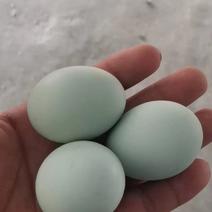 绿壳乌鸡蛋，新鲜优质，量大价优，一件，全国发货