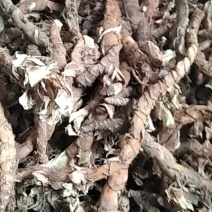 石菖蒲野生石菖蒲大别山野生中药材不是野生不要钱