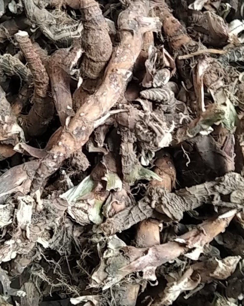石菖蒲野生石菖蒲大别山野生中药材不是野生不要钱