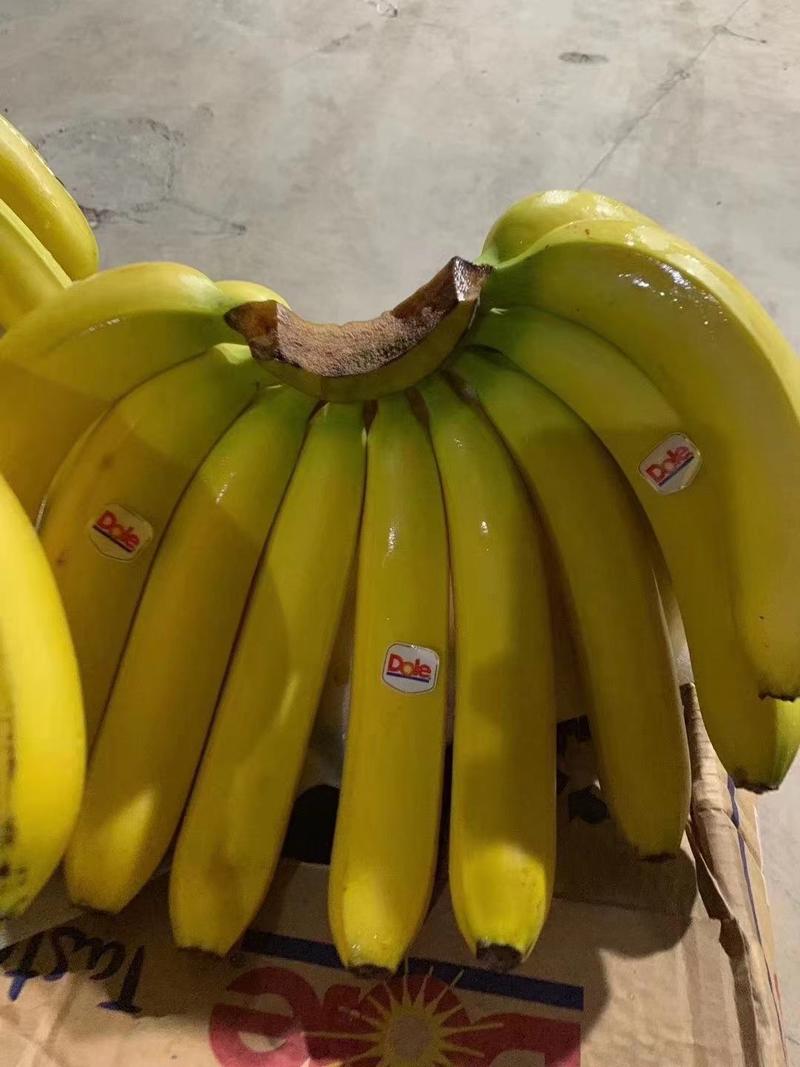 菲利宾进口香蕉