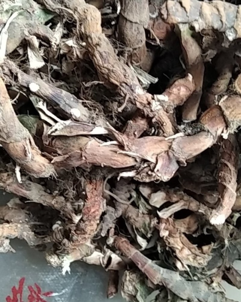 石菖蒲野生石菖蒲大别山野生中药材不是野生不要钱