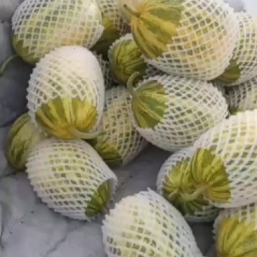 花姑娘甜瓜，熟度好，果子脆甜爽口，含多种营养元素。