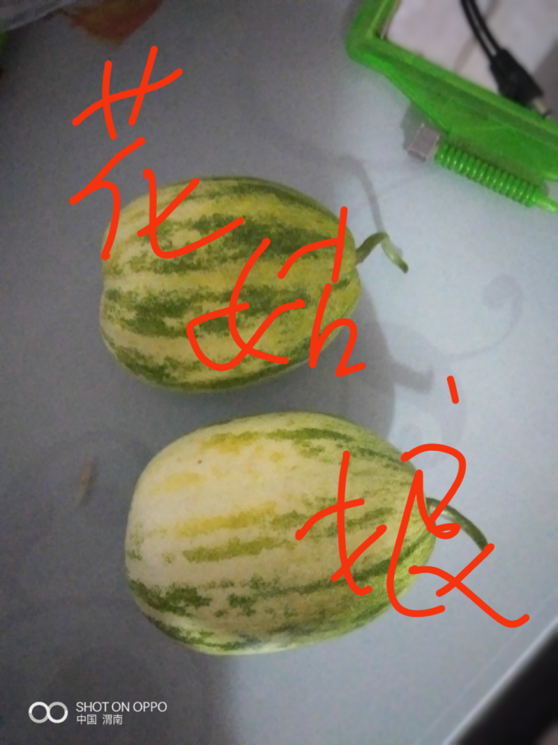 花姑娘甜瓜，熟度好，果子脆甜爽口，含多种营养元素。