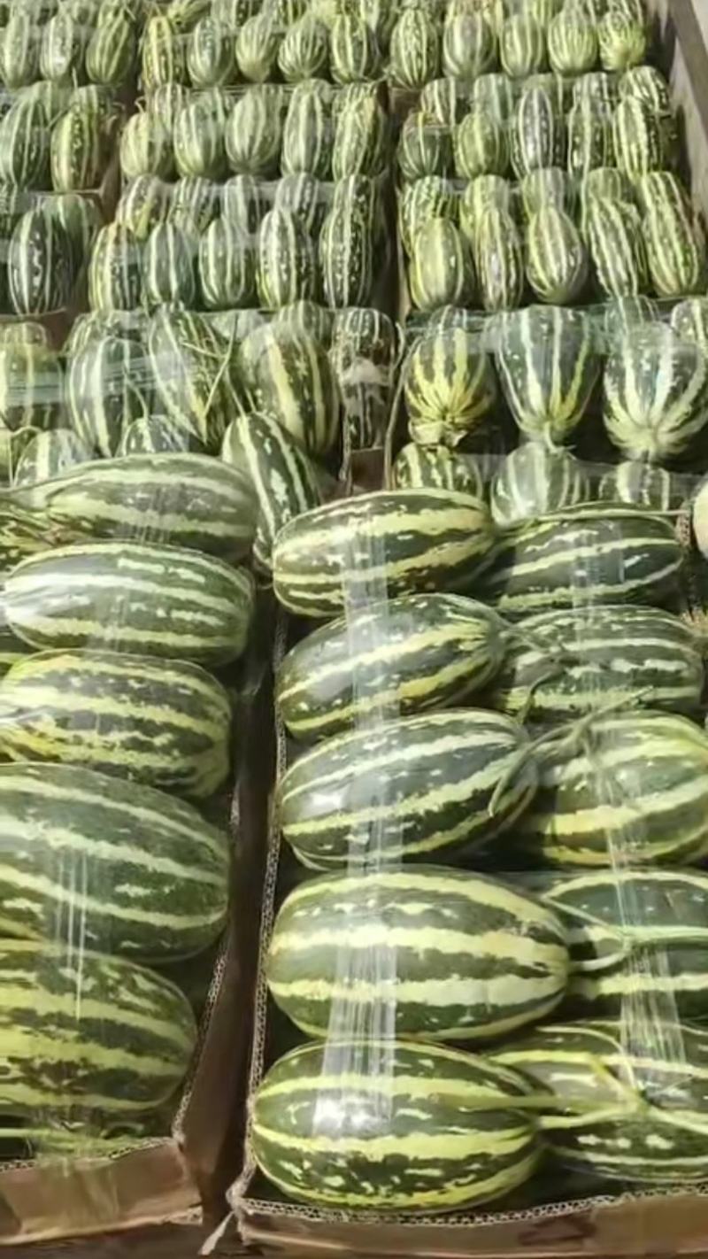 博洋九甜瓜大量上市需要的客户可以联系我，产地发货，全国发
