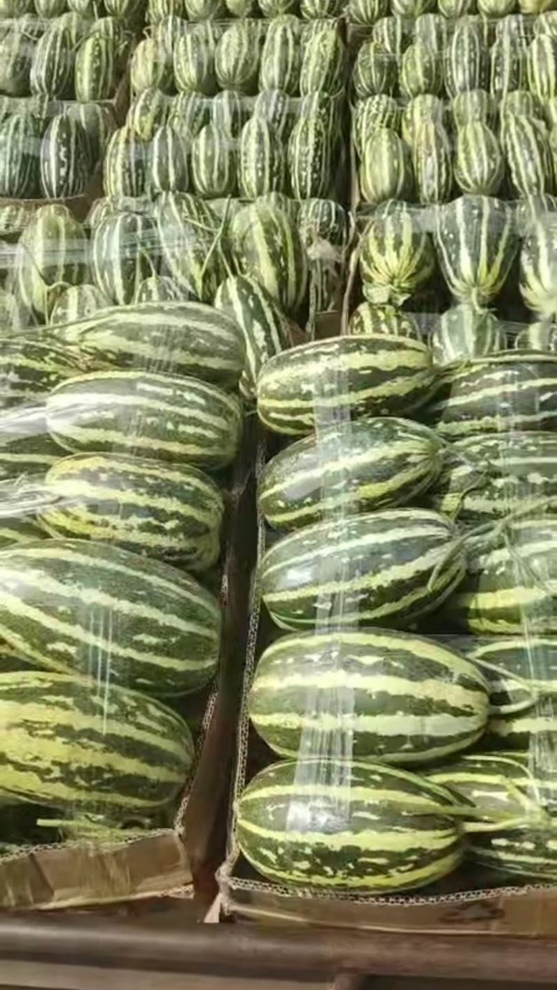 博洋九甜瓜大量上市需要的客户可以联系我，产地发货，全国发