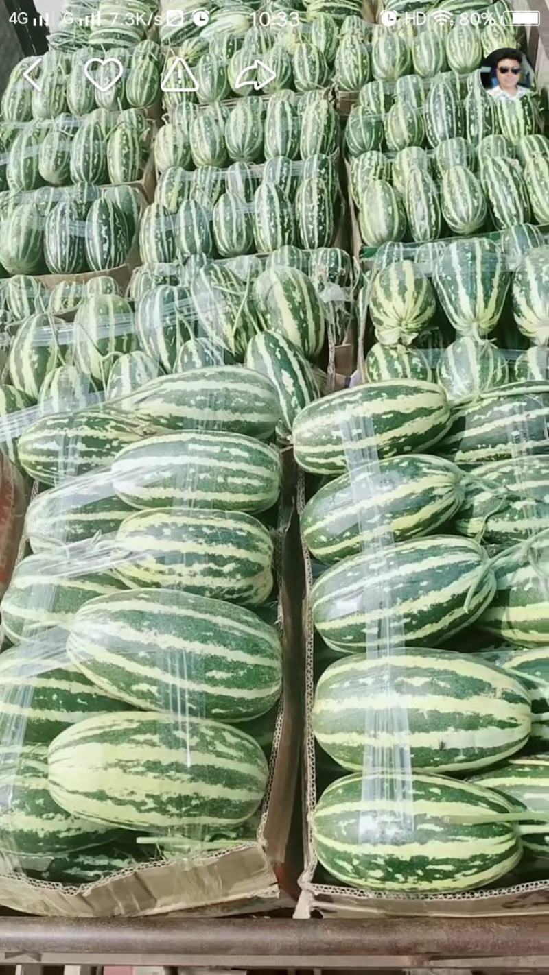 博洋九甜瓜大量上市需要的客户可以联系我，产地发货，全国发