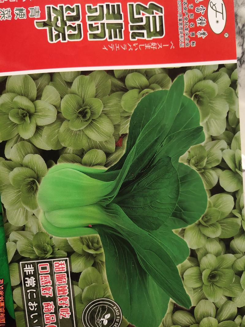 绿翡翠青梗菜。耐热，耐雨性强，叶面亮绿。