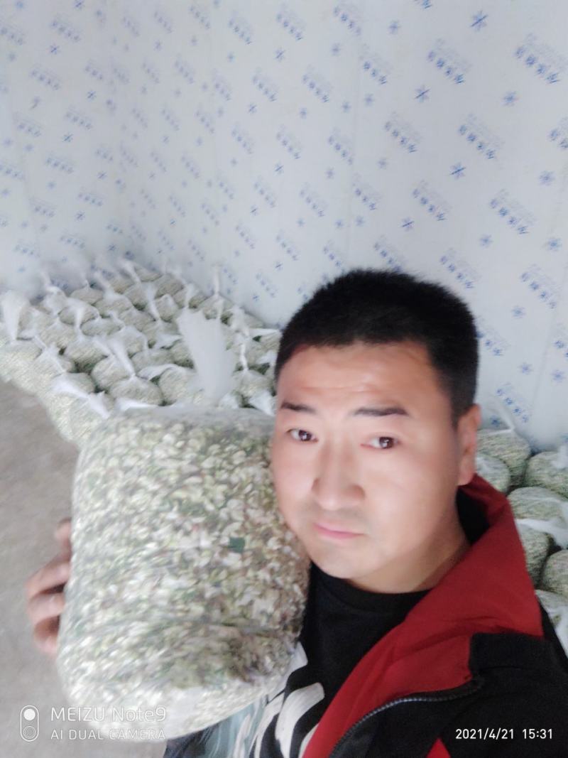 槐花槐树花新鲜野生槐花特菜当季蔬菜当天采摘鲜货
