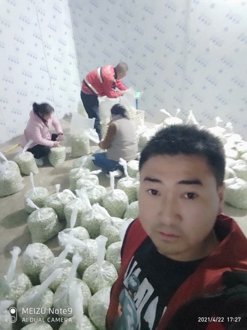 槐花槐树花新鲜野生槐花特菜当季蔬菜当天采摘鲜货