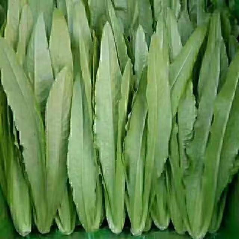 蔬菜