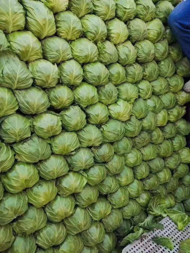 蔬菜