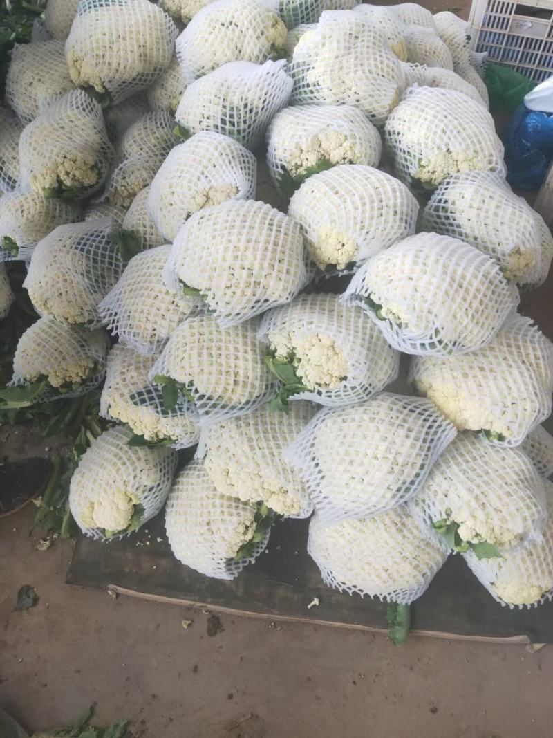 蔬菜