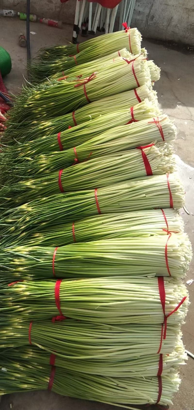 蔬菜