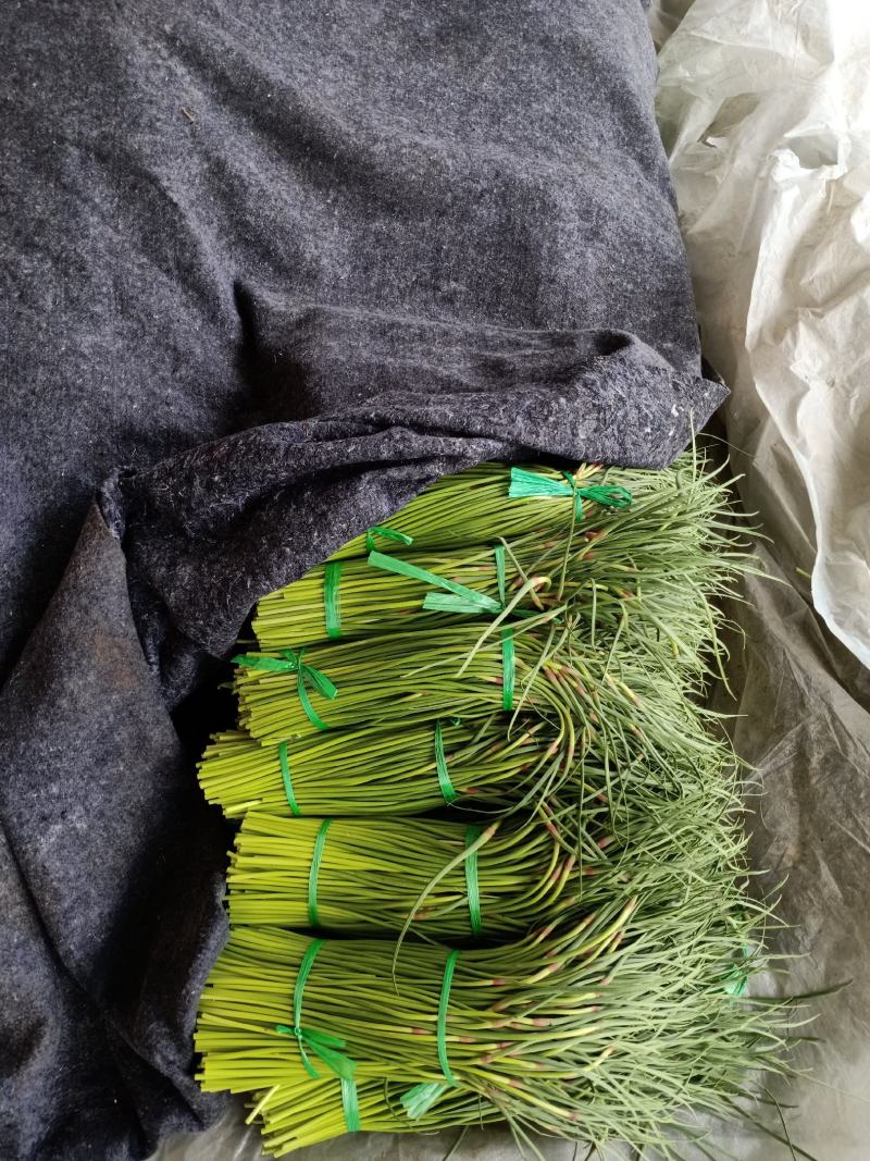 葱蒜类蒜薹大量上市中，货量每天增加中，需求的联系