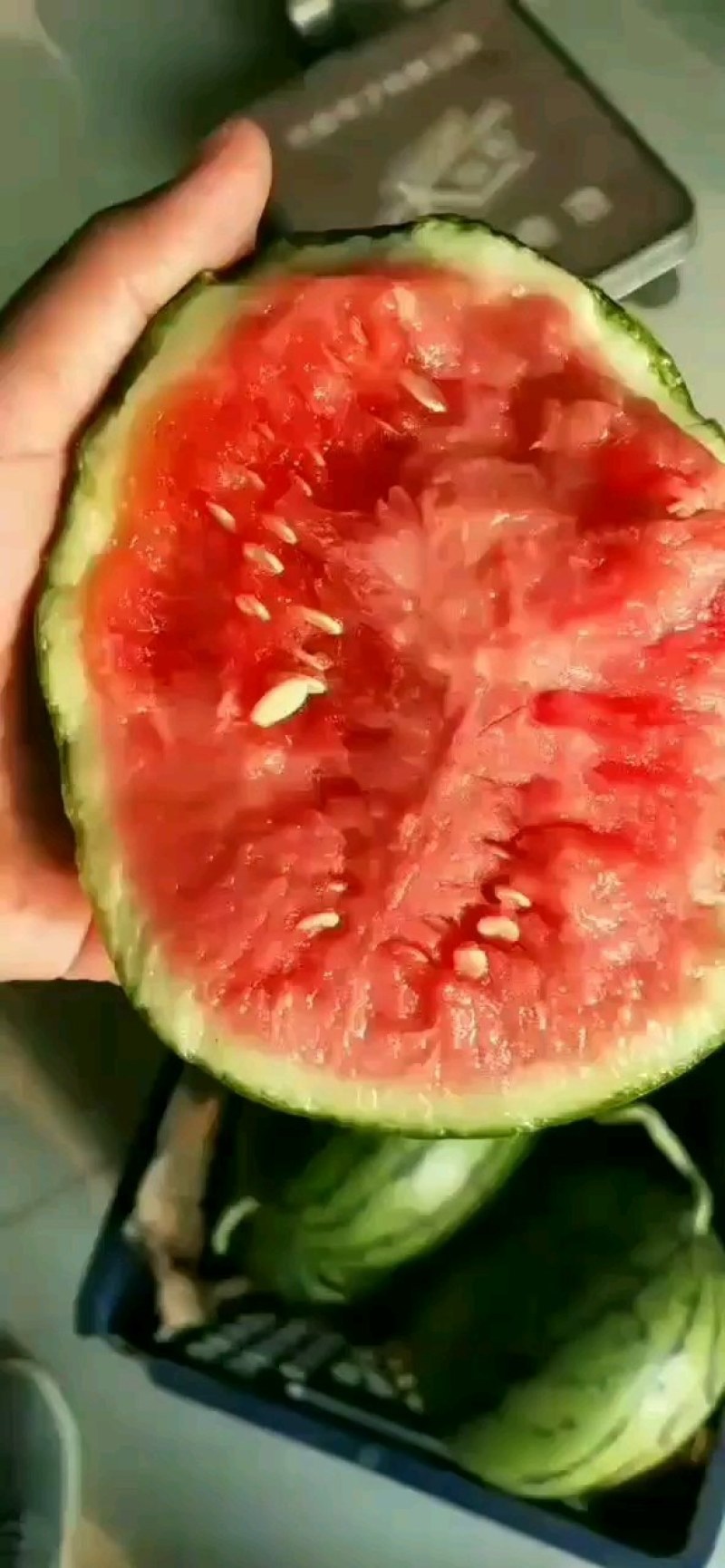 精品美都西瓜大量上市，产地直销，一手货源，代发全国，