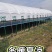 专业生产蔬菜种植大棚成套养殖钢架棚全国发货上门安装