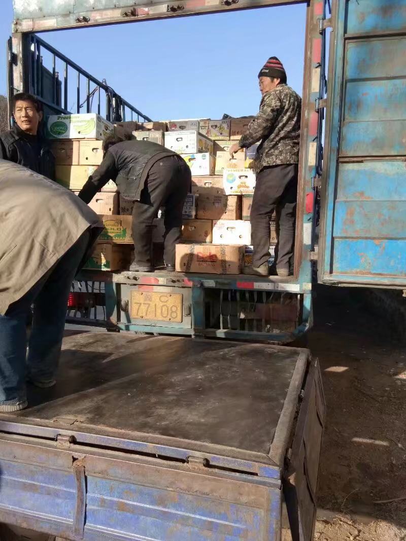 香白杏（银白杏）一捏两开甜杏仁，北山坡上自然成熟