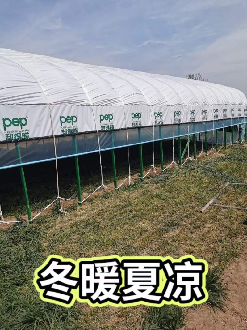 新型养殖大棚包塑管养牛棚热镀锌管养羊棚全国发货