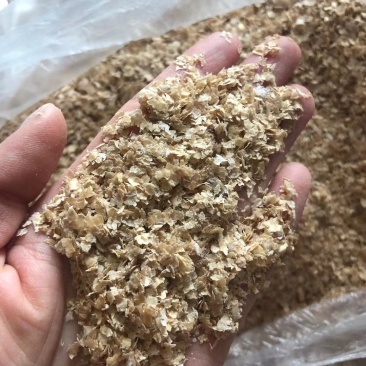麸皮现货供应欢迎欢迎麸皮现货