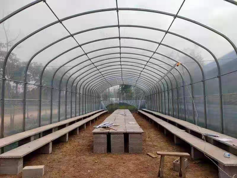 蔬菜种植钢架大棚热度辛钢管种植棚全国发货上门安装