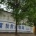 国槐