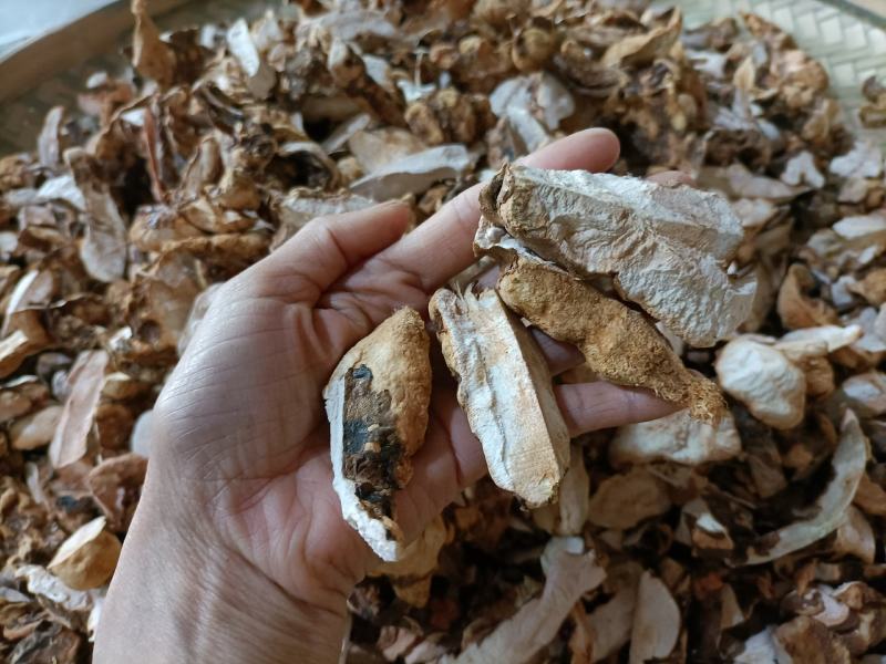 野生土茯苓块
