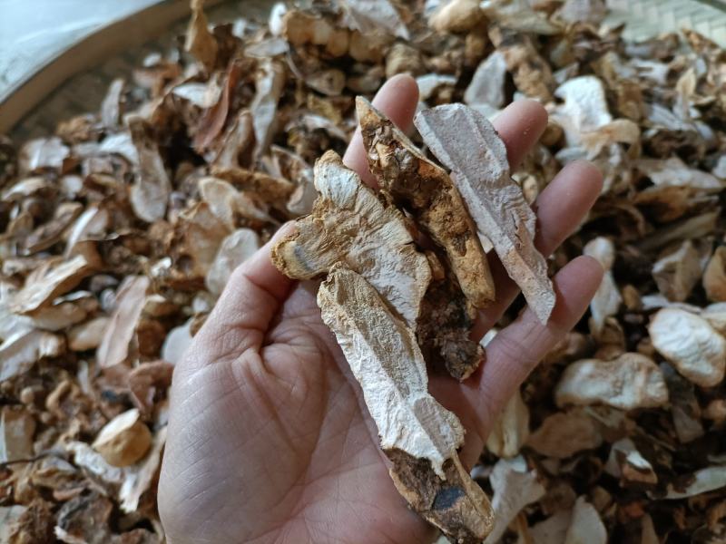 野生土茯苓块