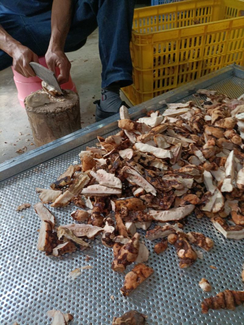野生土茯苓块
