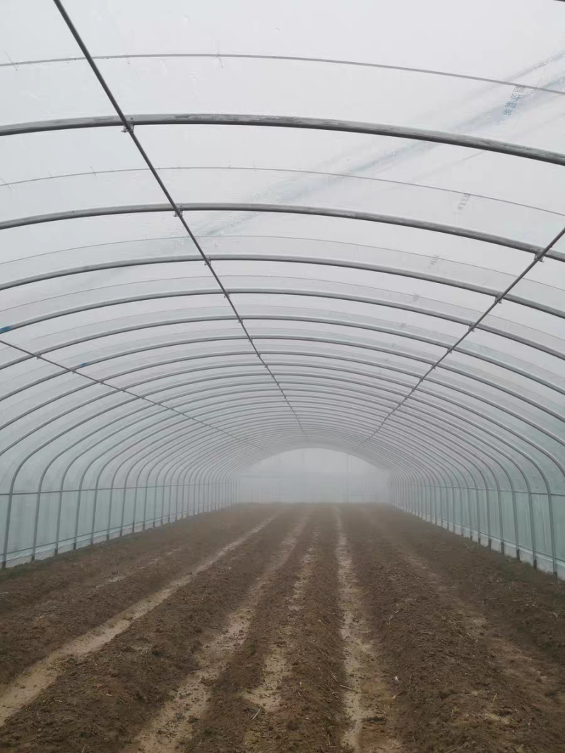 专业生产蔬菜基地专用各种规格种植大棚含膜全国发货包建