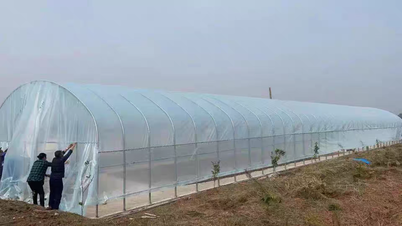 生产各种规蔬菜种植单体大棚养殖大棚上门安装全国发货