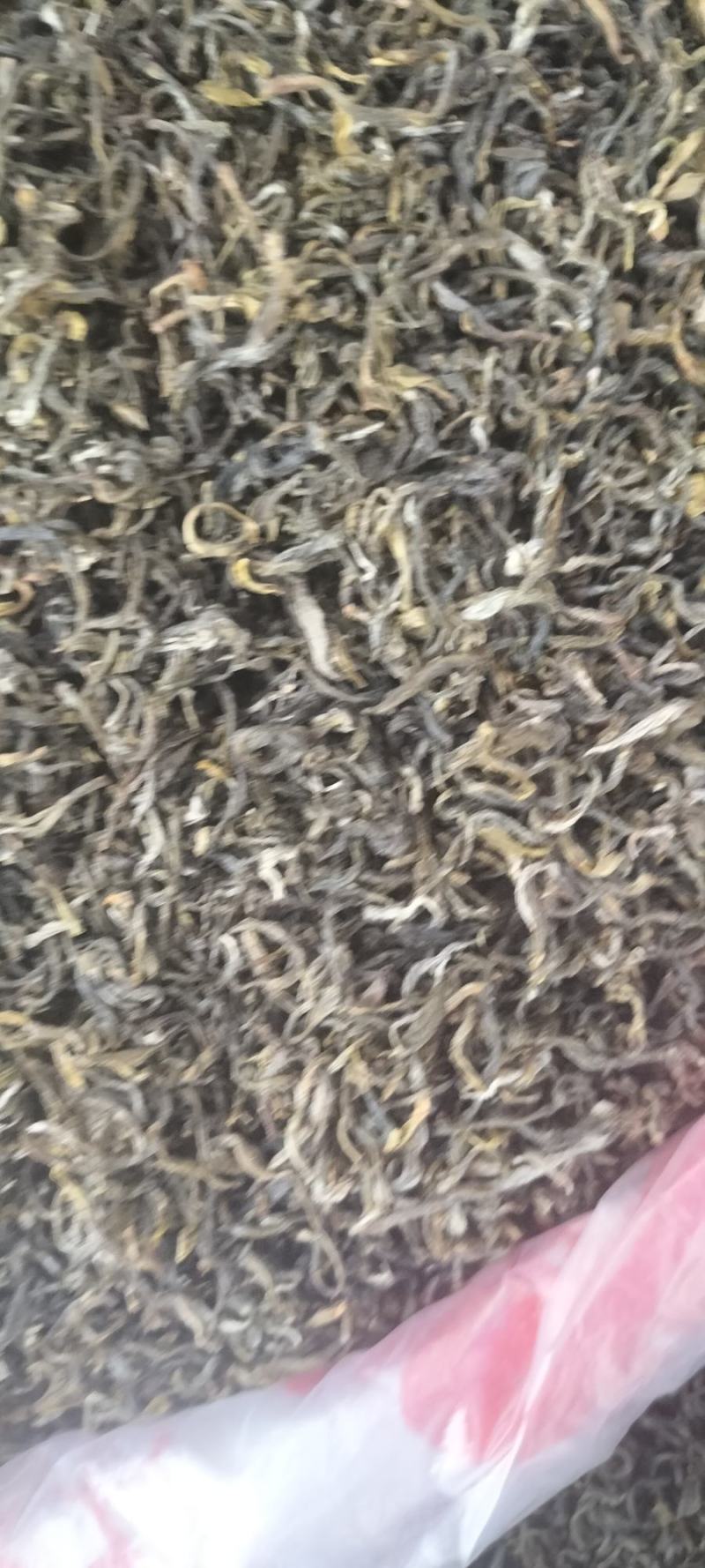 老树大叶茶绿茶明前春茶自产自销