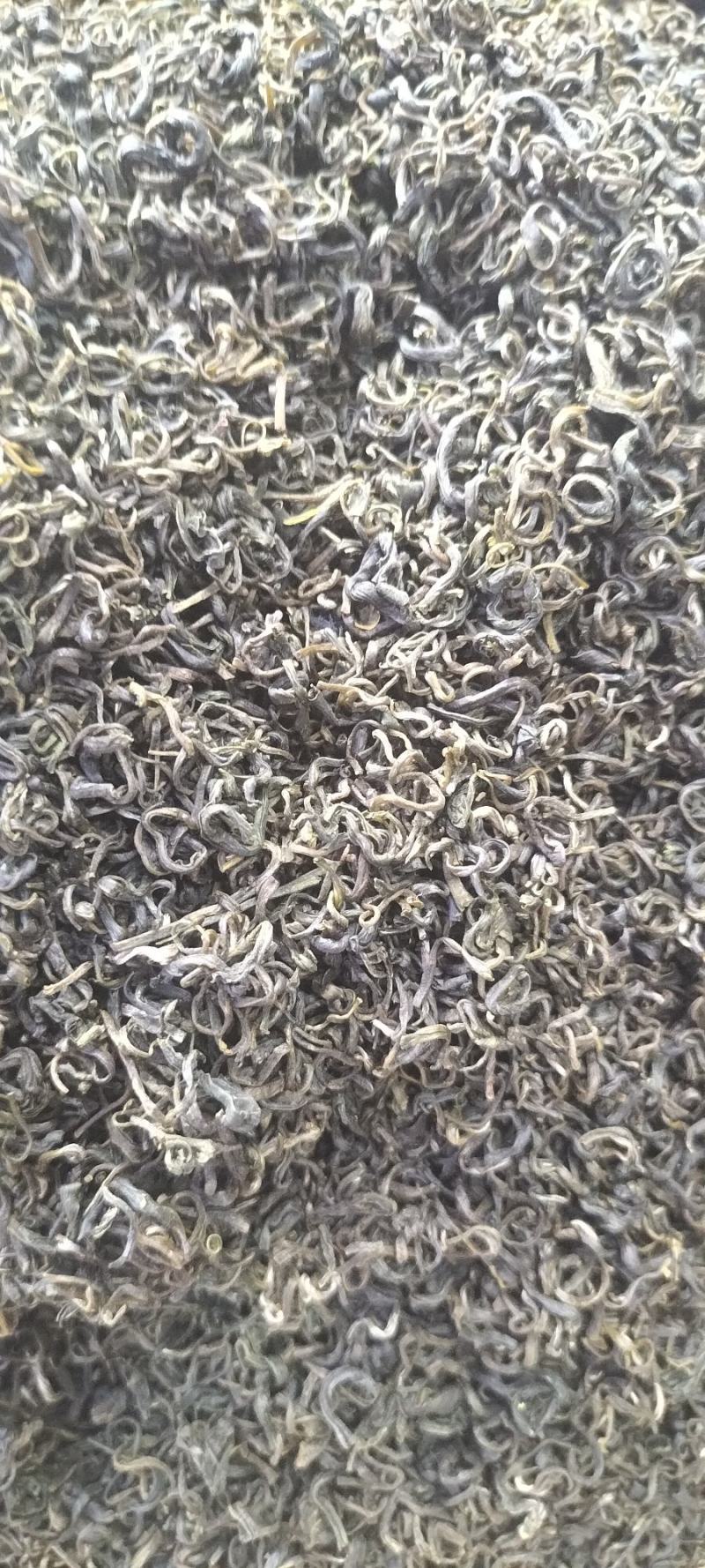 老树大叶茶绿茶明前春茶自产自销
