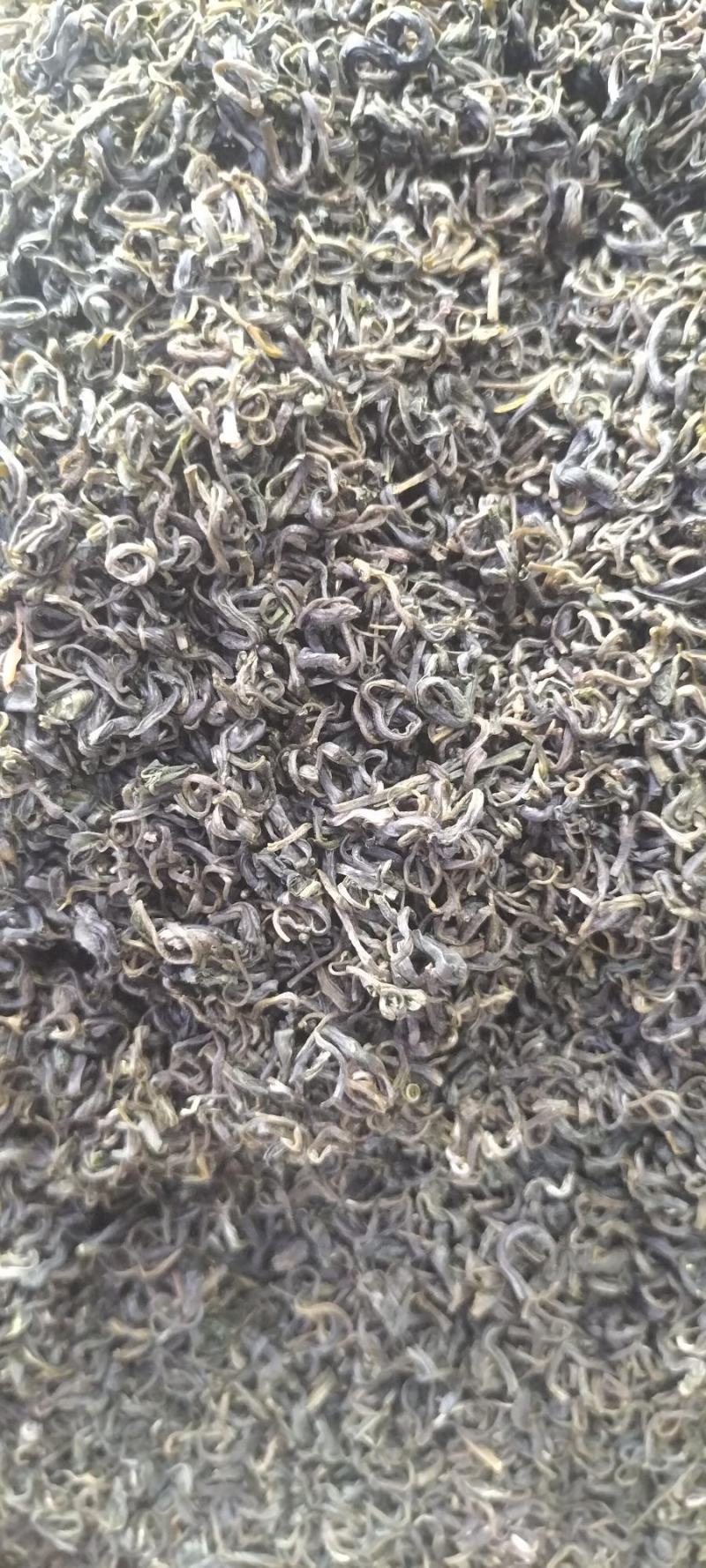 老树大叶茶绿茶明前春茶自产自销