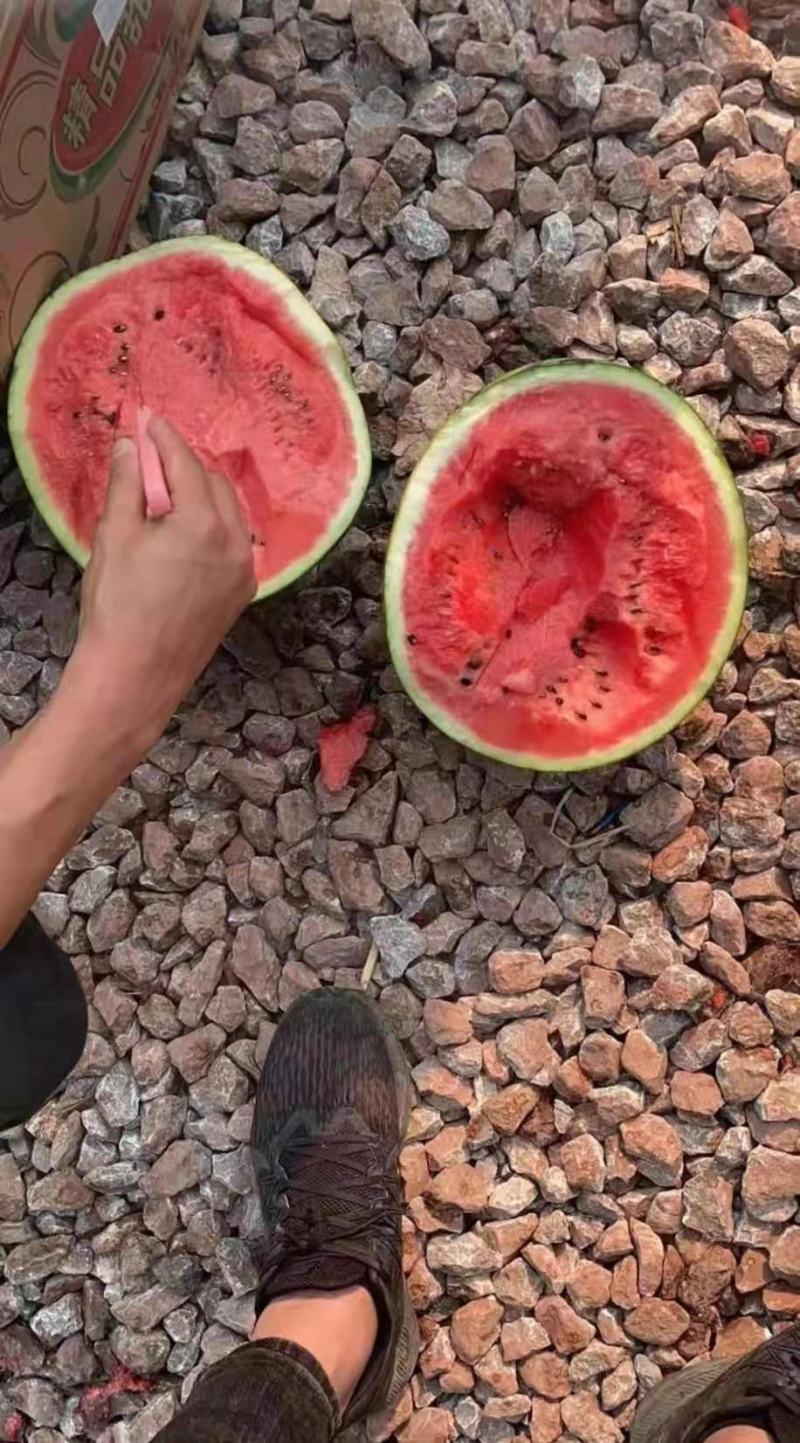 大棚西瓜产地批发，薄皮京欣，甜王西瓜大红瓤脆甜多汁西瓜