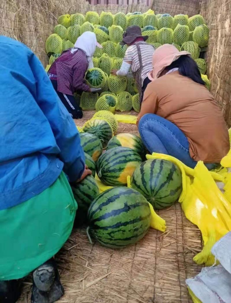 大棚西瓜产地批发，薄皮京欣，甜王西瓜大红瓤脆甜多汁西瓜