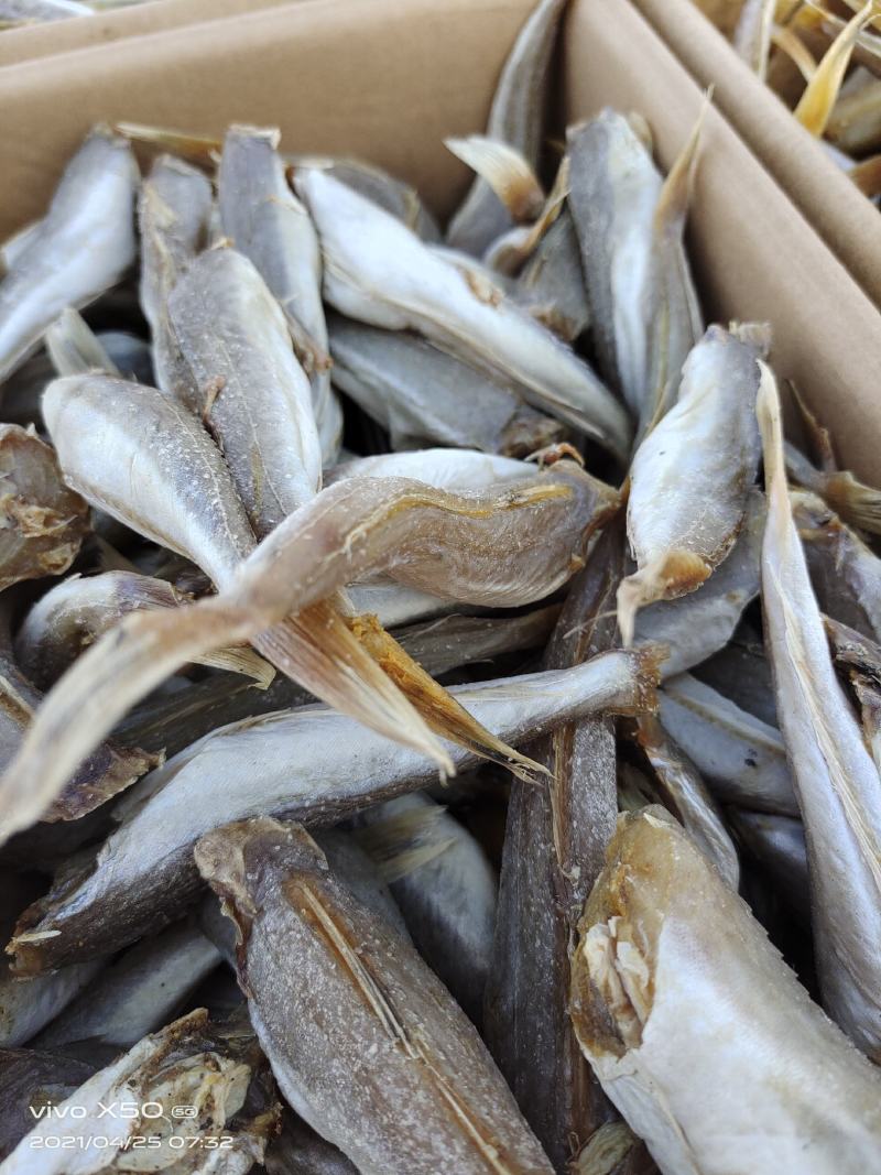 红头棍又名红娘子鱼去头带皮，八成干度，肉质紧实