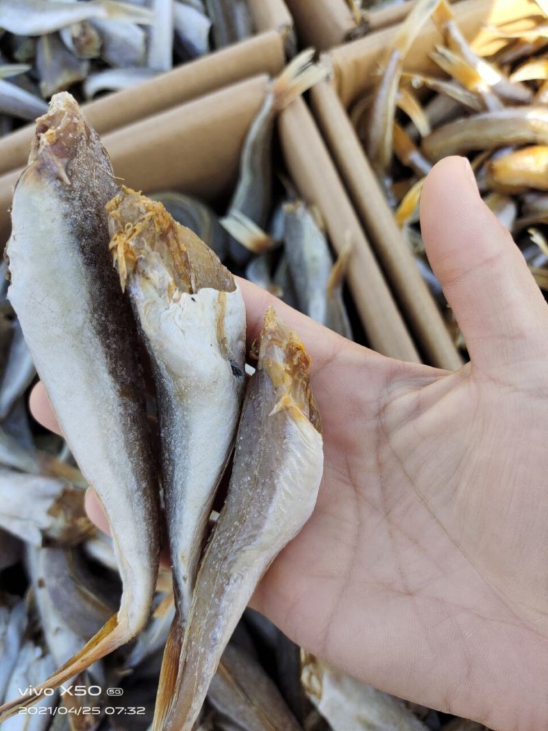 红头棍又名红娘子鱼去头带皮，八成干度，肉质紧实
