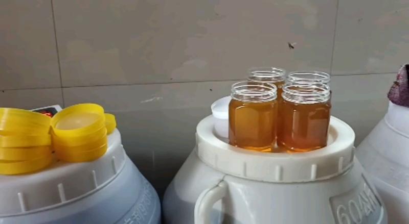 《土蜂蜜》农家自己养的，纯土蜂蜜，包邮。