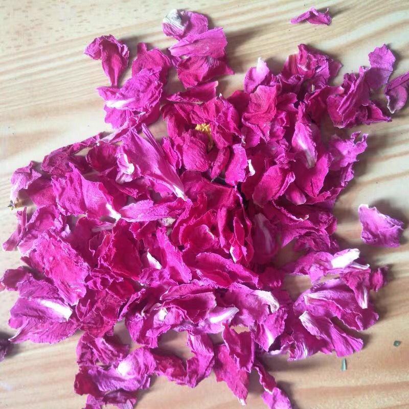 芍药花茶红芍花瓣白芍花美白美容红润肌肤可泡澡足浴