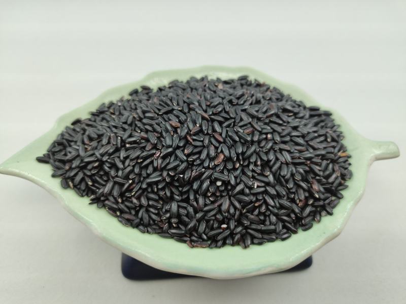 黑香米黑米东北黑米颗粒饱满质量好