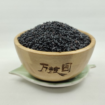 黑香米黑米东北黑米颗粒饱满质量好