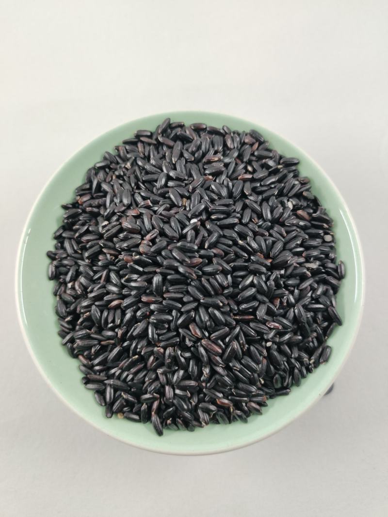 黑香米黑米东北黑米颗粒饱满质量好
