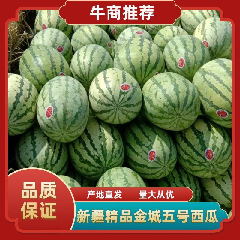 实力供货【徐哥】新彊金城5号西瓜包熟包甜，低价代发全国