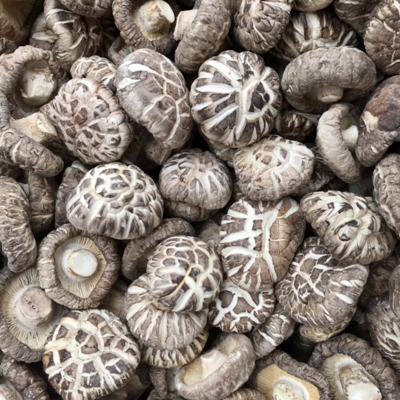 【好货】特级天白花菇干货冬菇肉厚剪脚种植产地批发常年供应
