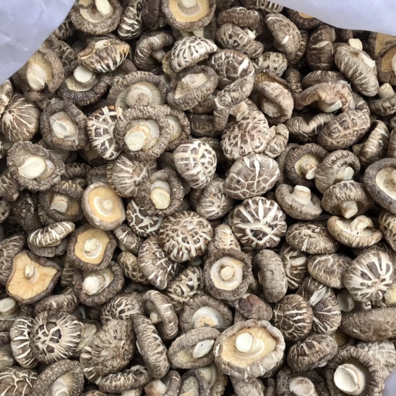【好货】特级天白花菇干货冬菇肉厚剪脚种植产地批发常年供应