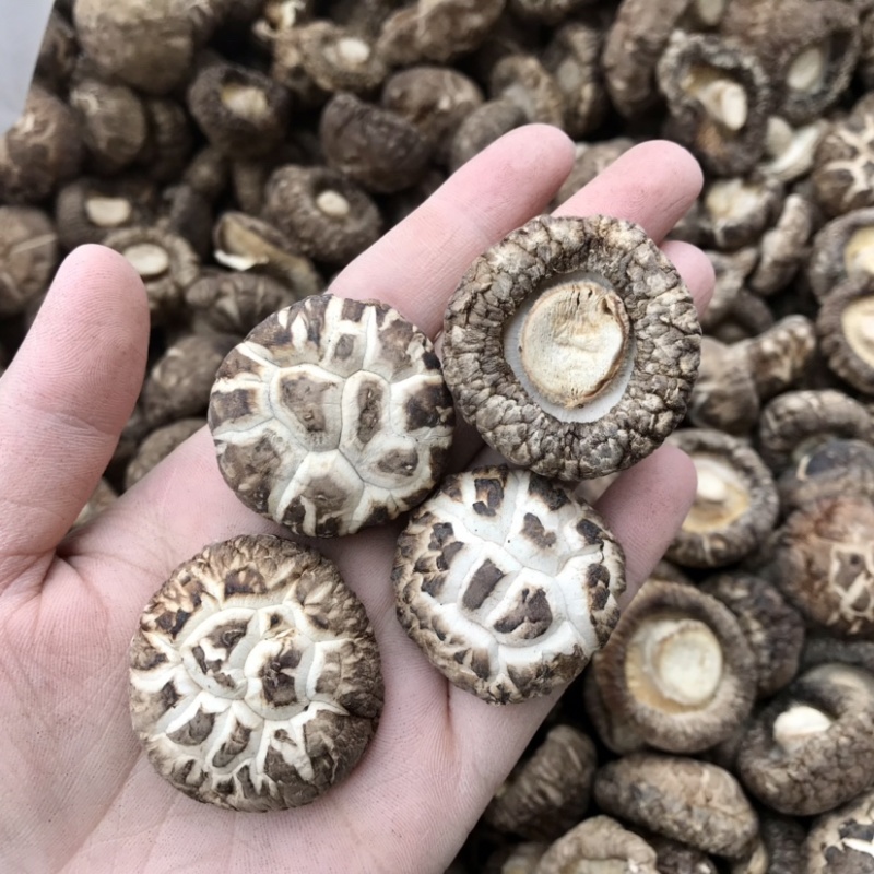 【好货】特级天白花菇干货冬菇肉厚剪脚种植产地批发常年供应