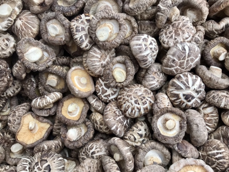 【好货】特级天白花菇干货冬菇肉厚剪脚种植产地批发常年供应